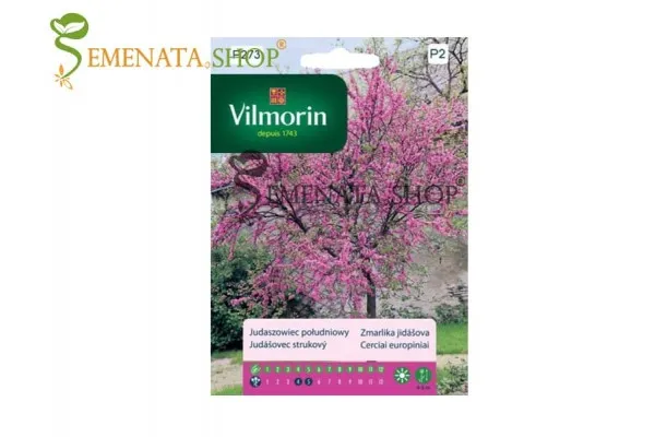 Семена на Юдово дърво (Церцис, Див Рожков) - Cercis siliquastrum