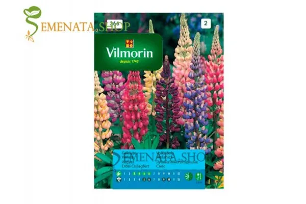 Семена на многогодишна Лупина микс - Lupinus polyphillus