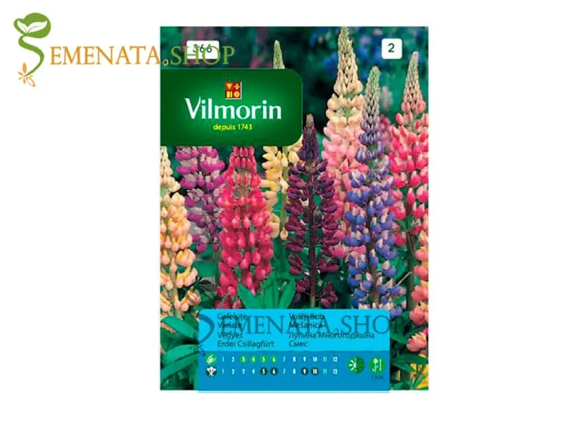 Семена на многогодишна Лупина микс - Lupinus polyphillus