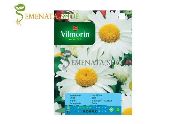 Семена на голяма бяла Маргарита - Crysanthemum Leucanthemum от Вилморин