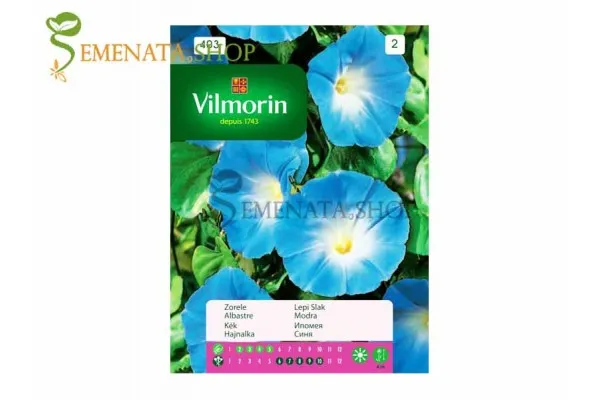 Семена на Ипомея синя (грамофонче, телефонче) - Ipomea purpurea от Vilmorin 