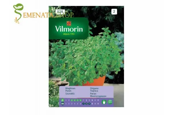 Семена на Риган от Vilmorin