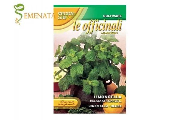 Семена на Маточина от Франчи - Melissa officinalis