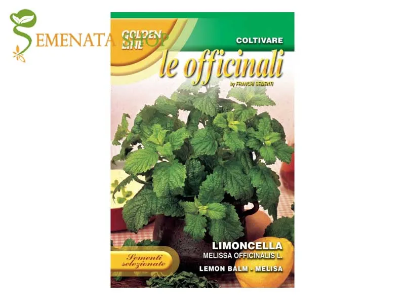 Семена на Маточина от Франчи - Melissa officinalis