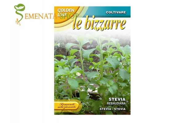 Качествени сортови семена на Стевия - Stevia rebaudiana
