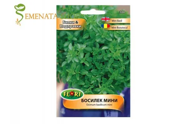 Семена на мини босилек за саксия и градина - плътен аромат и страхотен вкус