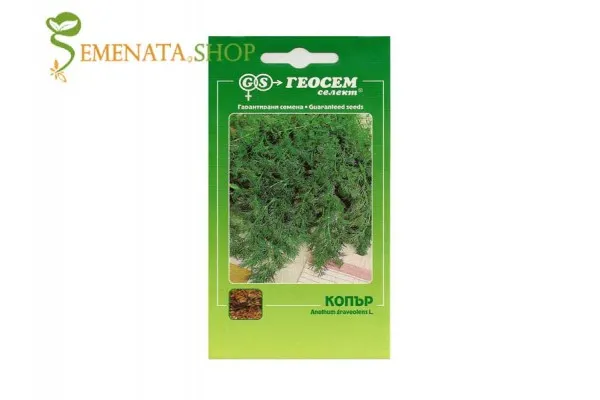 Семена на Копър сорт Дукат (Anethum Graveolens) - ароматен и приятен