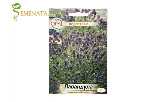 Семена на Лавандула - Lavandula officinalis