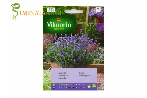Семена на Лавандула на достъпна цена - Lavandula officinalis с характерен аромат