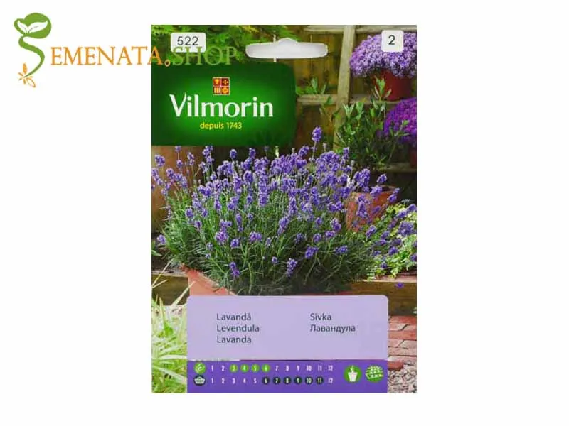 Семена на Лавандула на достъпна цена - Lavandula officinalis с характерен аромат