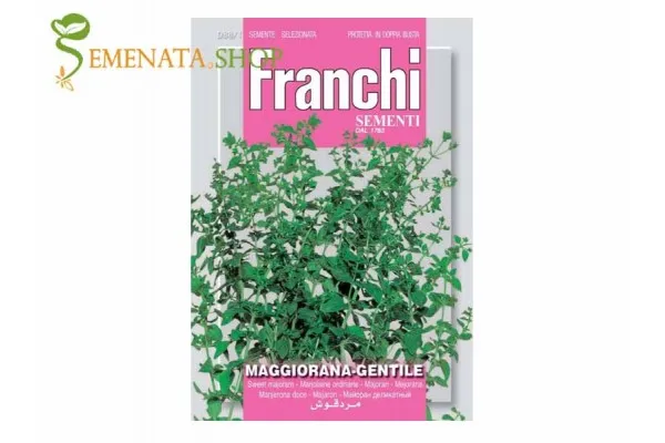 Качествени семена на Майорана (Origanum majorana) - подправка с екзотичен аромат