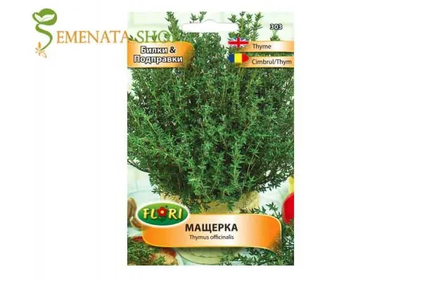 Семена на Мащерка (Thymus officinalis) за отглеждане в саксия и градина