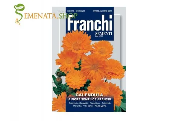 Италиански семена на Невен (Календула) - Calendula officinalis оранжево цвете с много полезни свойства