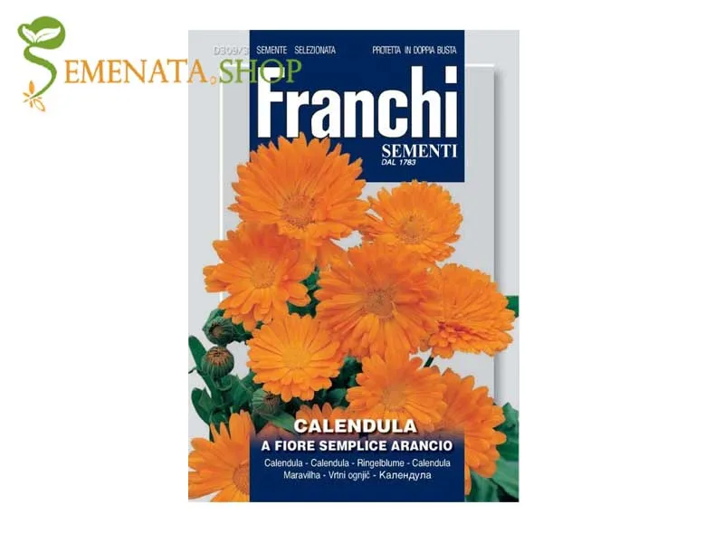Италиански семена на Невен (Календула) - Calendula officinalis оранжево цвете с много полезни свойства