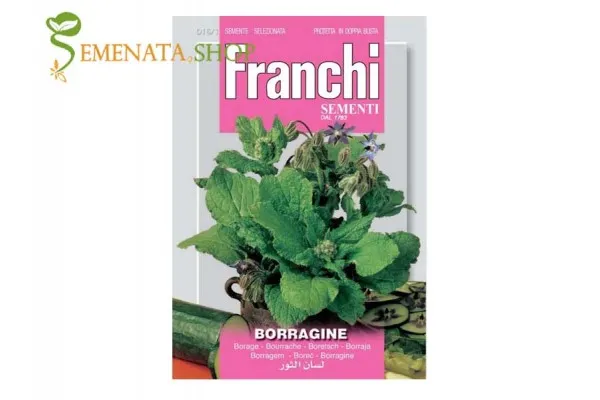Семена на Бораго, Пореч (Borago Officinаlis) - "лечебната краставица"