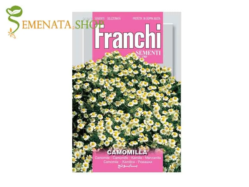 Семена на Лайка (Matricaria chamomilla)