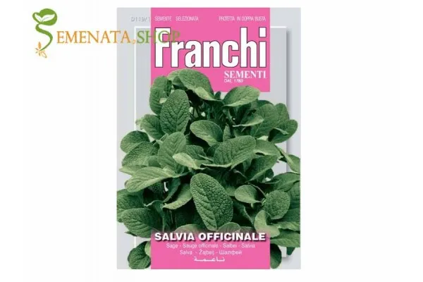 Семена на Салвия - Градински чай (Salvia officinalis) билка