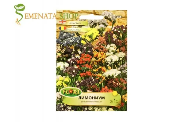 Семена на Лимониум – Limonium sinuatum