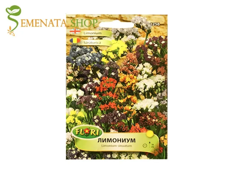 Семена на Лимониум – Limonium sinuatum