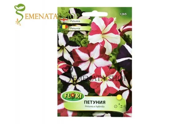 Семена на ниска бордюрна петуния звезда микс с бяло - Petunia x hybrida