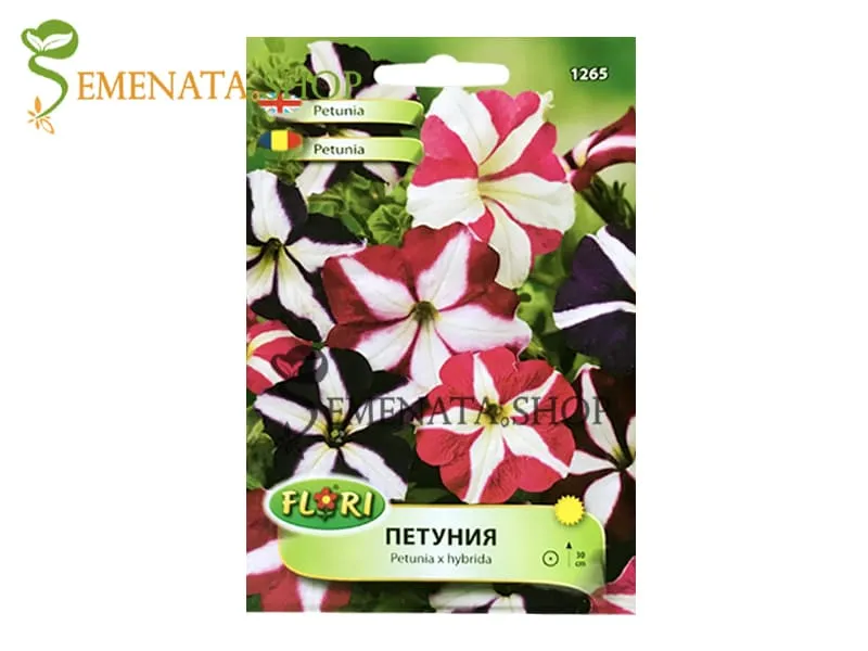 Семена на ниска бордюрна петуния звезда микс с бяло - Petunia x hybrida