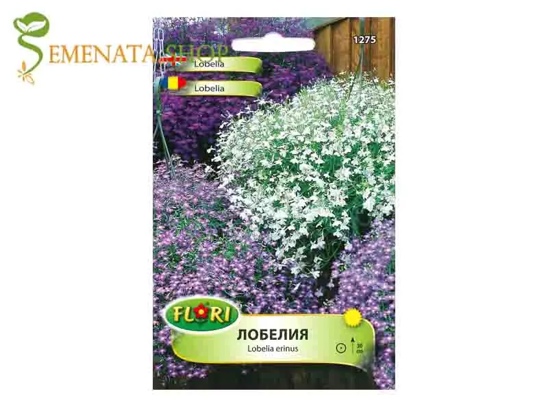 Семена на  Лобелия