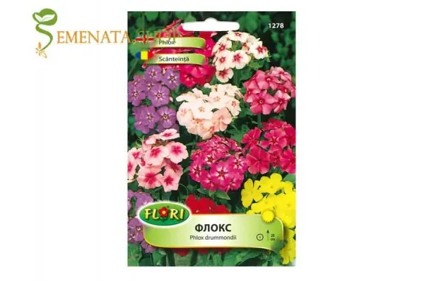 Семена на Флокс микс