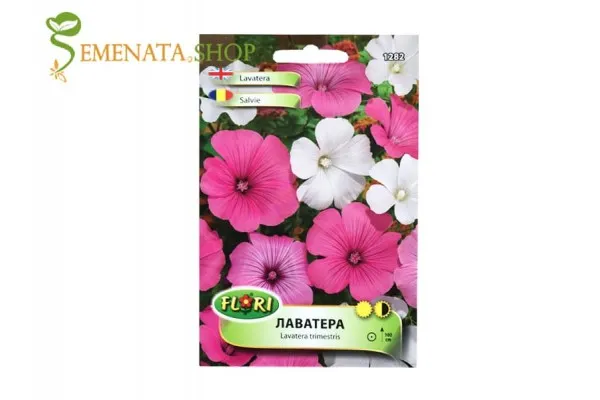 Семена на Лаватера - Lavatera trimestris микс