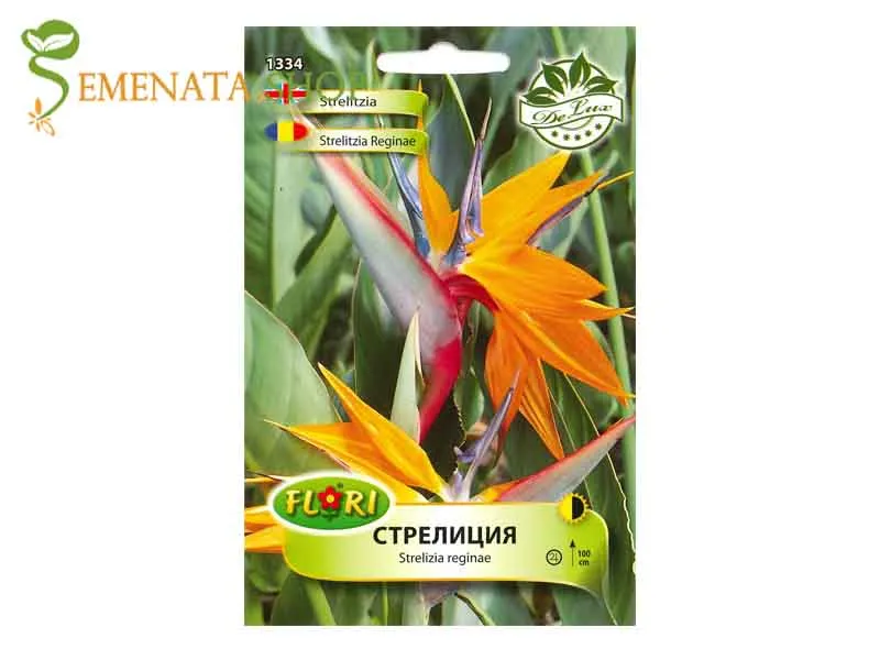Семена на Стрелиция