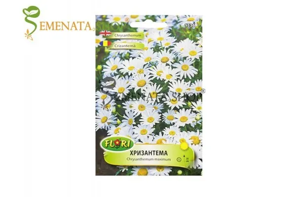 Семена на ниска Хризантема Бяла - Chrysanthemum maximum (до 35 см височина)