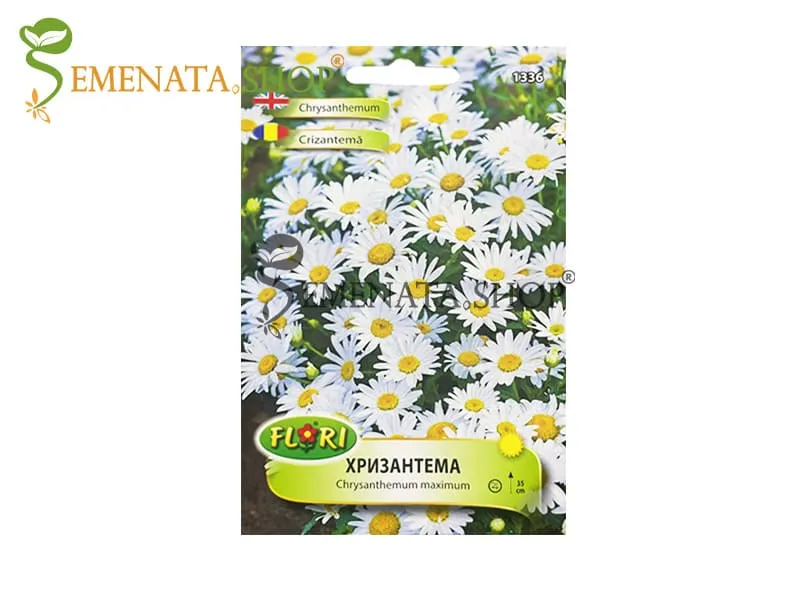 Семена на ниска Хризантема Бяла - Chrysanthemum maximum (до 35 см височина)