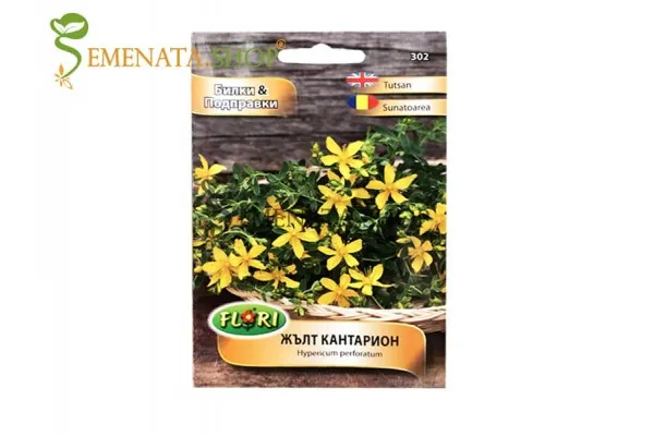 Жълт кантарион - семена от една лечебна билка (Hypericum perforatum)