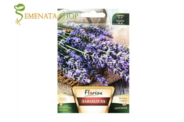 Семена на ароматната билка Лавандула - Lavandula officinalis