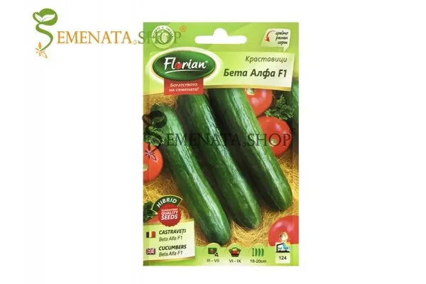 Семена на къса краставица Бета алфа F1 - крехки и много вкусни краставици