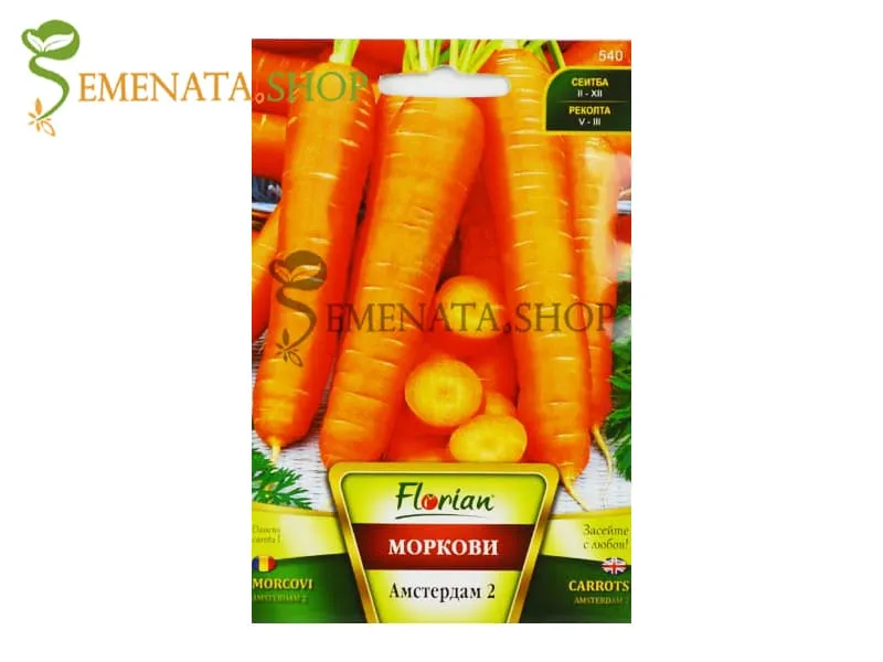 Семена на моркови Амстердам 2