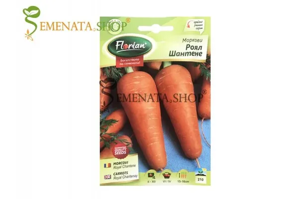 Семена на Роял Шантене моркови с уникален вкус и наситен аромат (средно ранни до късни)