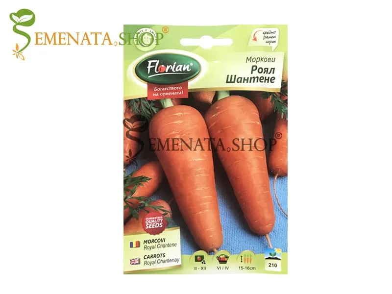 Семена на Роял Шантене моркови с уникален вкус и наситен аромат (средно ранни до късни)