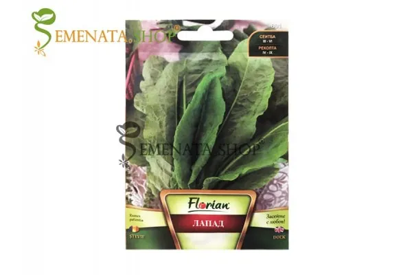 Качествени семена на Лапад  - Rumex patientia или още Лупош