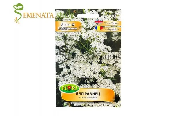Семена за билка Бял Равнец - Achillea millefolium