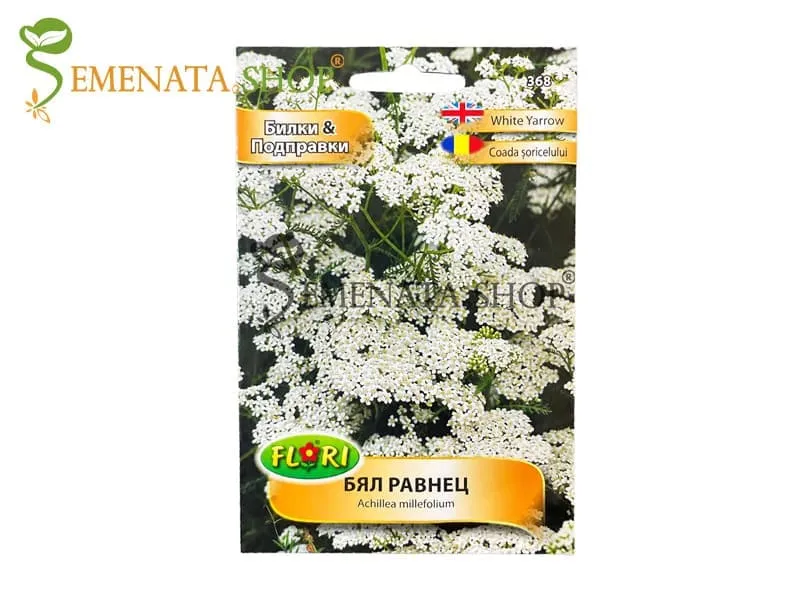 Семена за билка Бял Равнец - Achillea millefolium