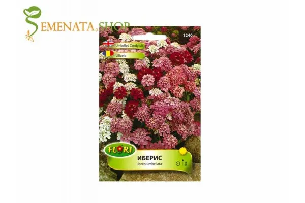 Семена на ароматните цветя Иберис - Iberis umbellata