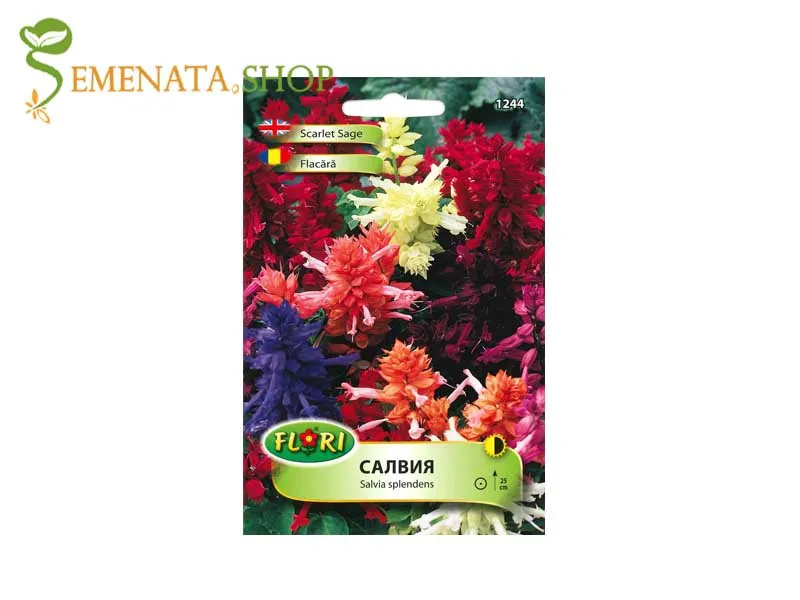 Семена на Пламъче (Салвия, Salvia splendens) - микс