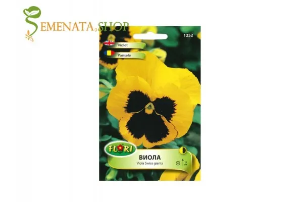 Семена на жълта Виола с черно око (теменуга, теменужка) - Viola Swiss giants