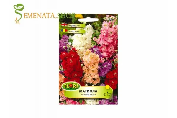 Семена на шибой - Матиола (Matthiola incana)