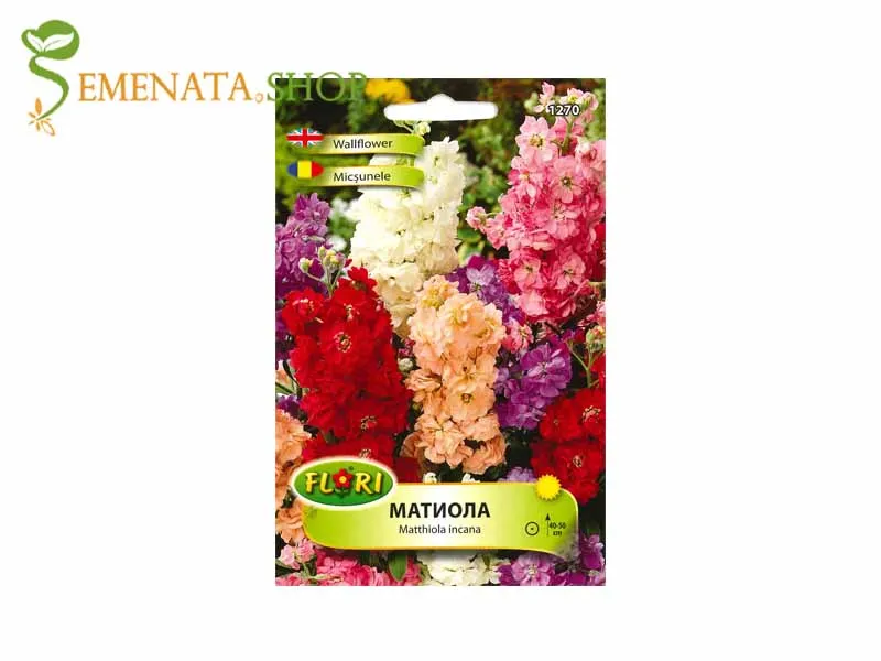 Семена на шибой - Матиола (Matthiola incana)