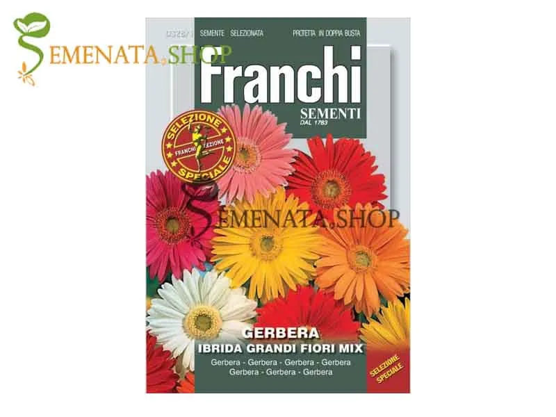 Семена на Гербер с големи цветове микс (Gerbera)