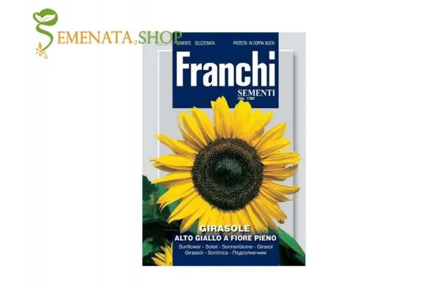 Семена на жълт Слънчоглед (Helianthus sp.)