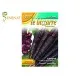 Семена на лилав морков Пурпурна мъгла F1 - уникален вкус и екзотичен вид
