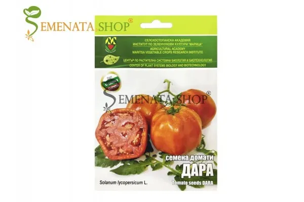  Семена на домати Дара (Dara) с уникален сладко – кисел вкус и приятен аромат от ИЗК Марица (нов за 2023 г)