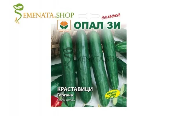 Сортови семена на краставици Гергана